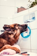 Mata LickiMat® Splash™ zielona