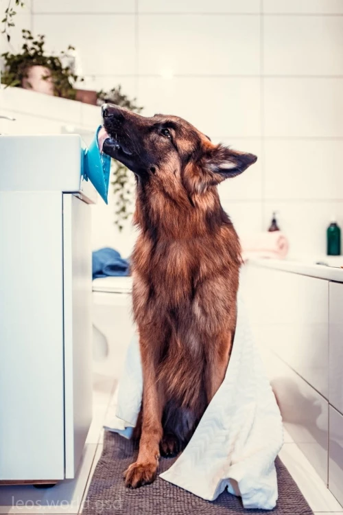 Mata LickiMat® Splash™ zielona