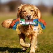 DOGLEMI CHEWZZLERS zabawka sznurkowa dla psa