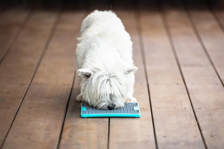 Mata LickiMat® Tuff™ Buddy™ czerwona