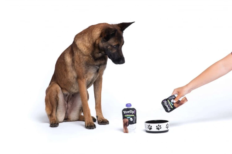 YOW UP! Prebiotyki Jogurt naturalny dla psa 115g