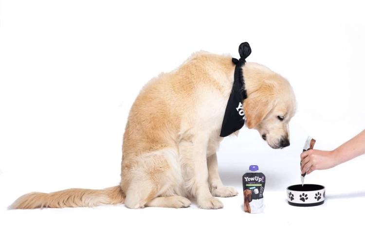 YOW UP! Prebiotyki Jogurt naturalny dla psa 115g