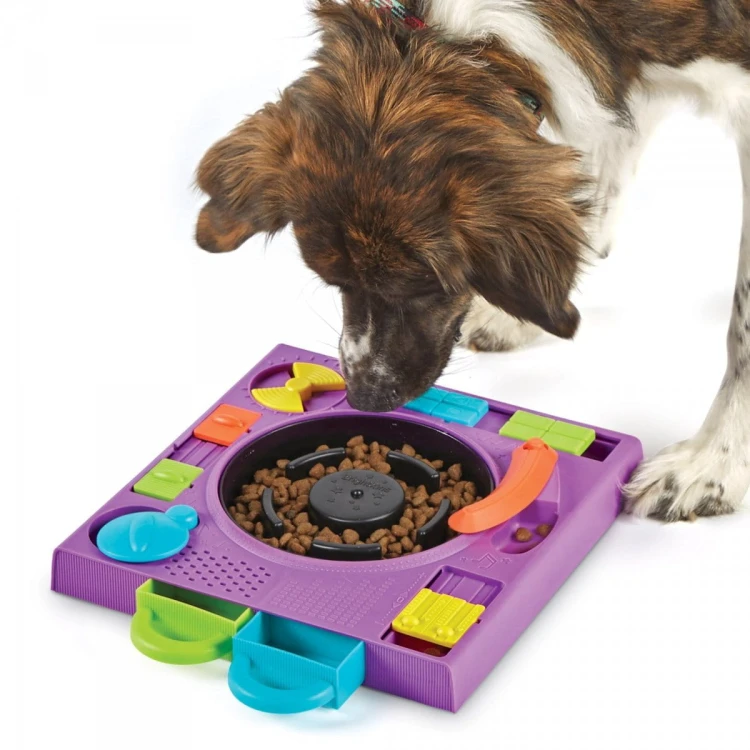Brightkins Łamigłówka Dj Doggo DJ PIES
