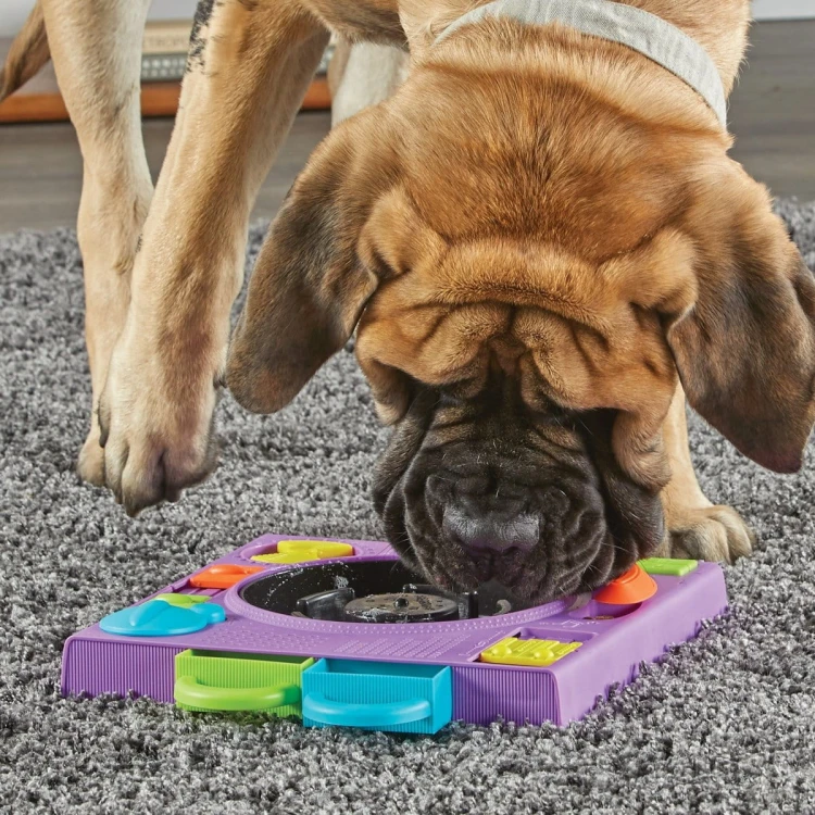 Brightkins Łamigłówka Dj Doggo DJ PIES