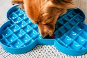 Miska spowalniająca jedzenie SLODOG® czarna
