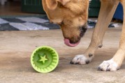 LickiMat® Yoggie Pot turkusowy