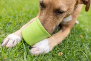 LickiMat® Yoggie Pot turkusowy