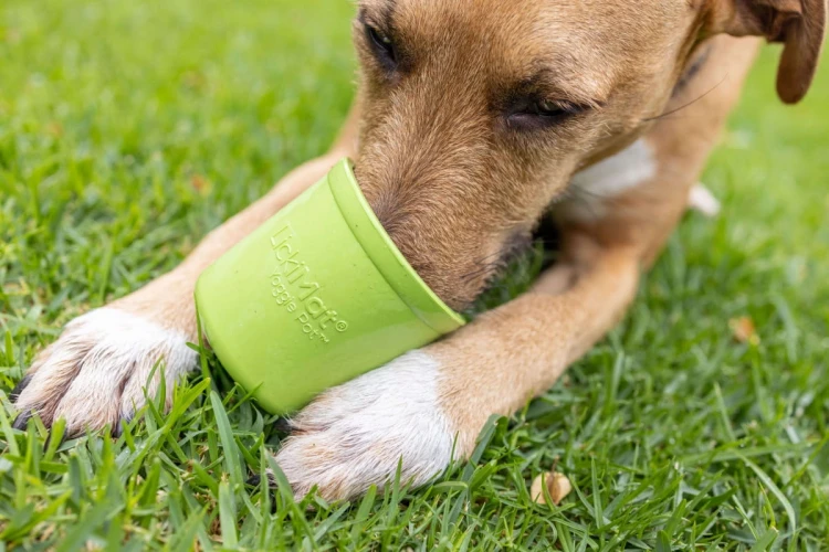 LickiMat® Yoggie Pot turkusowy