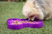 Miska slow food spowalniająca jedzenie SMALL SLODOG® różowa