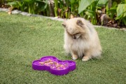 Miska slow food spowalniająca jedzenie SMALL SLODOG® różowa