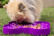 Miska slow food spowalniająca jedzenie SMALL SLODOG® różowa
