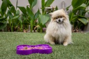 Miska slow food spowalniająca jedzenie SMALL SLODOG® turkusowa