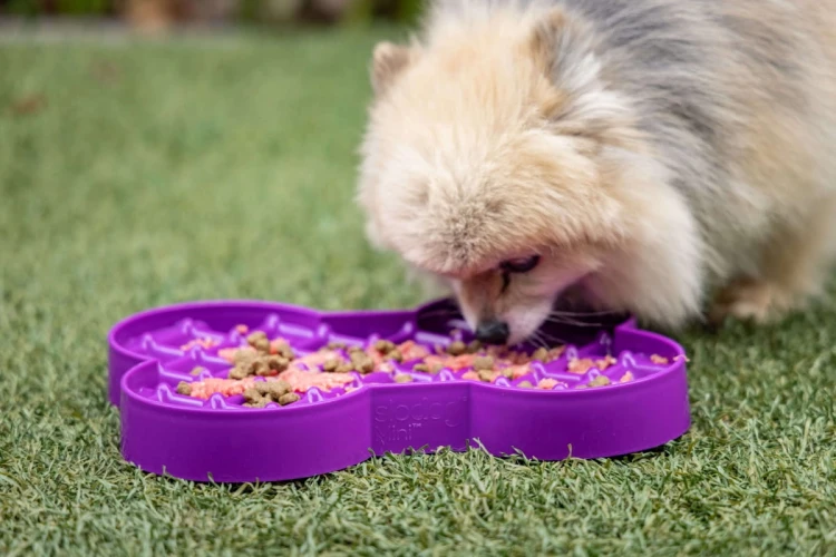 Miska slow food spowalniająca jedzenie SMALL SLODOG® turkusowa