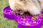 Miska slow food spowalniająca jedzenie SMALL SLODOG® turkusowa
