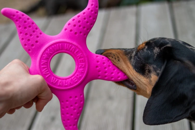 Kiwi Walker 2w1 OCTOPUS &amp; STARFISH różowy