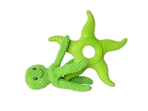 Kiwi Walker 2w1 OCTOPUS &amp; STARFISH zielony