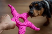Kiwi Walker 2w1 OCTOPUS &amp; STARFISH zielony