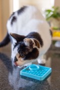 Mata LickiMat® Classic Kitty™ różowa
