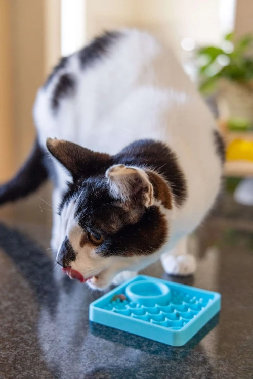 Mata LickiMat® Classic Kitty™ turkusowa