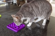 Mata LickiMat® Classic Catster™ zielona