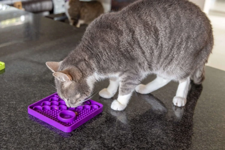 Mata LickiMat® Classic Catster™ zielona