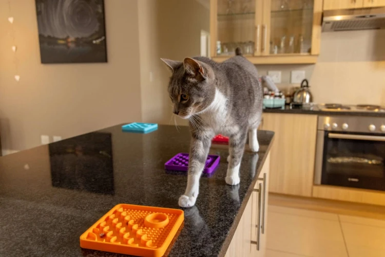 Mata LickiMat® Classic Catster™ zielona
