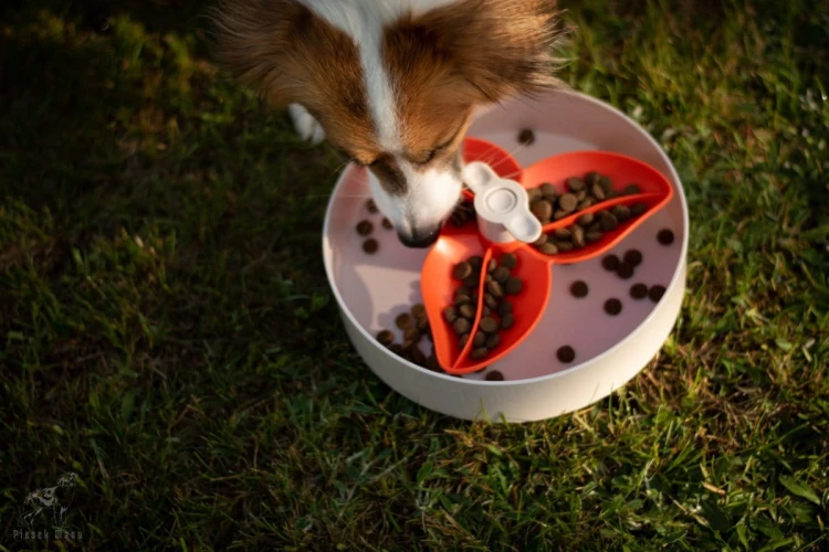 SPIN Interaktywna Miska FLOWER