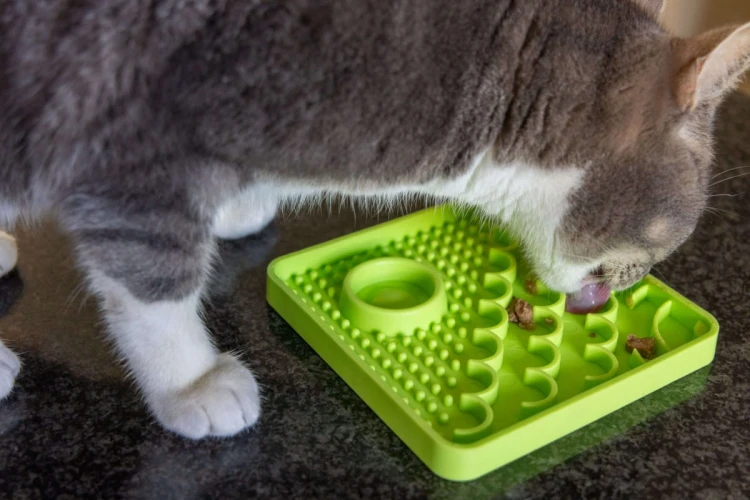 Mata LickiMat® Classic Catster™ pomarańczowa