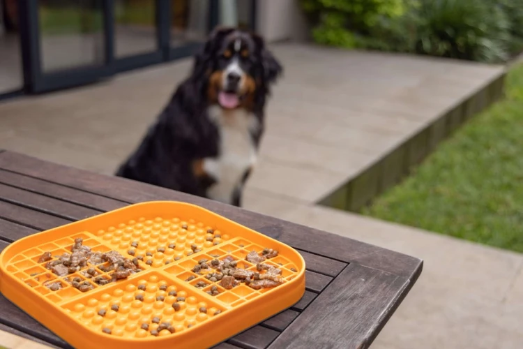 Mata LickiMat® Slomo™ XL turkusowa