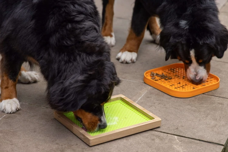 Mata LickiMat® Slomo™ XL turkusowa