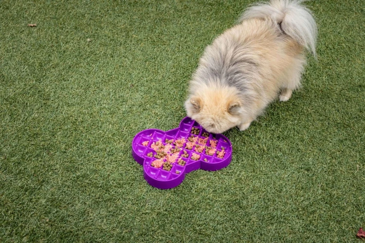 Miska slow food spowalniająca jedzenie SMALL SLODOG® fioletowa