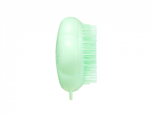 PET TEEZER CAT Szczotka dla kotów