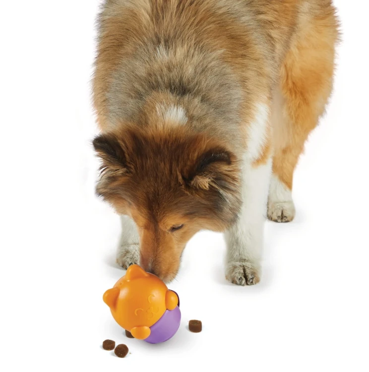 Brightkins Zabawka na przysmaki Teacup Surprise! FILIŻANKA