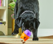 Brightkins Zabawka na przysmaki Teacup Surprise! FILIŻANKA