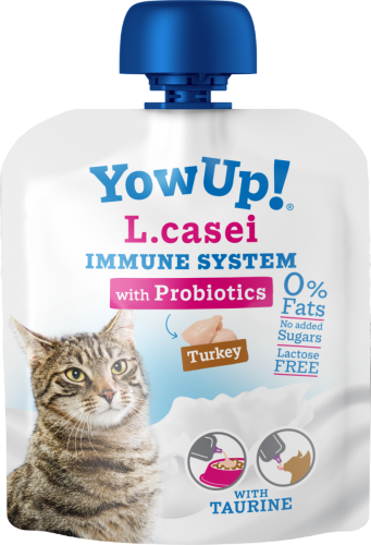 YOW UP! L.Casei Immune System PROBIOTYKI Jogurt dla KOTA z indykiem 85g