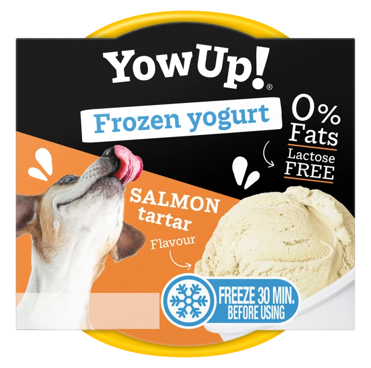 YOW UP! Salmon Tartar FROZEN YOGURT Jogurt do mrożenia o aromacie tatara z łososia 110g