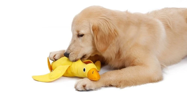 DOGLEMI Zabawka węchowa KACZKA