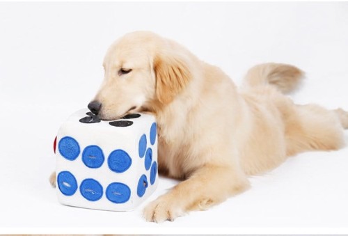 DOGLEMI Zabawka węchowa KOSTKA