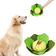 DOGLEMI KAPUSTA zabawka węchowa