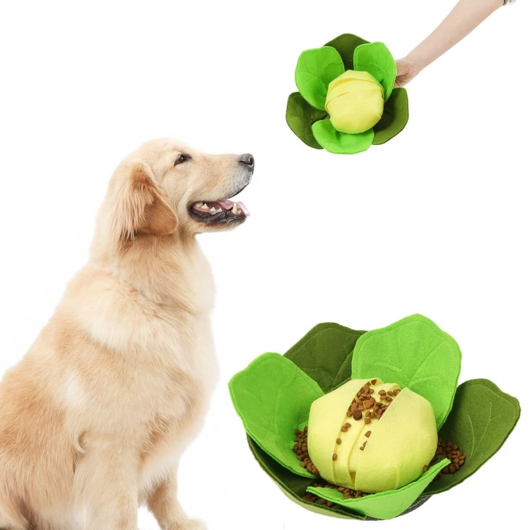 DOGLEMI KAPUSTA zabawka węchowa