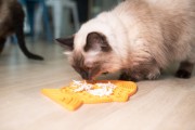 Mata LickiMat® Classic Felix™ fioletowa