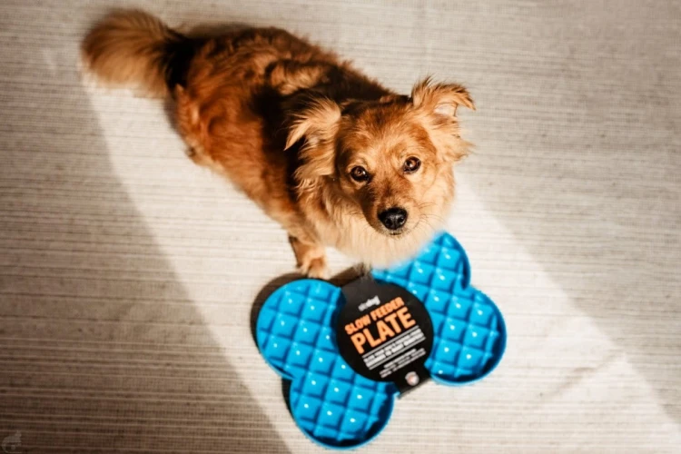 Miska spowalniająca jedzenie SLODOG® różowa