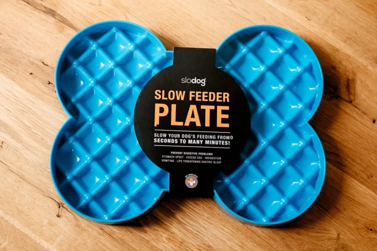 Miska spowalniająca jedzenie SLODOG® zielona