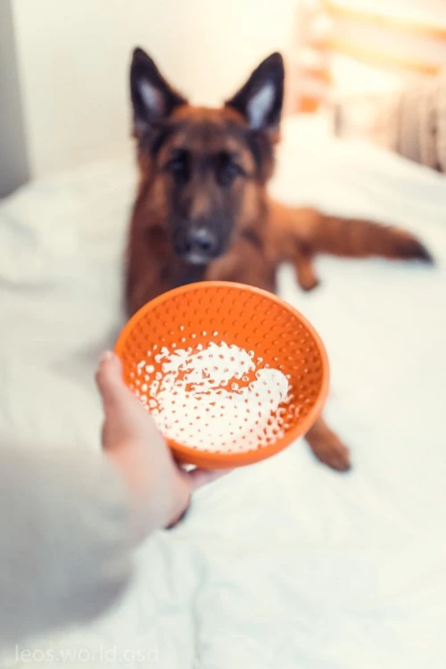 Mata LickiMat® Wobble™ fioletowa