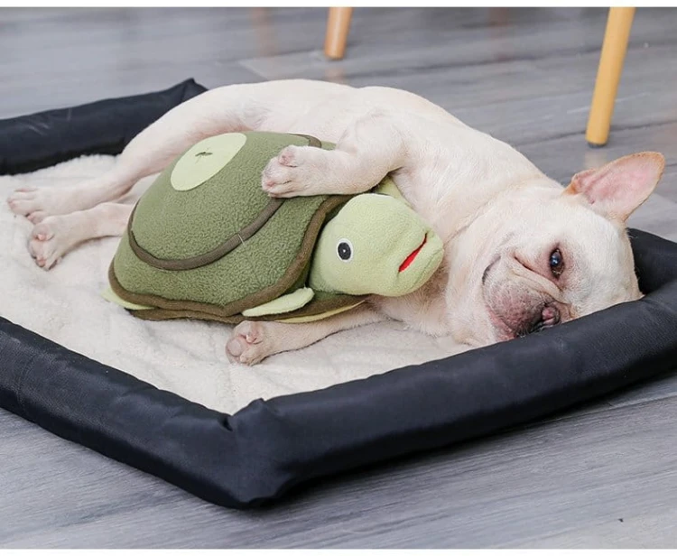 DOGLEMI Zabawka węchowa ŻÓŁW