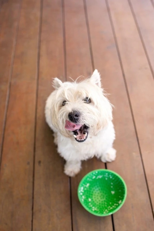 Mata LickiMat® Wobble™ fioletowa