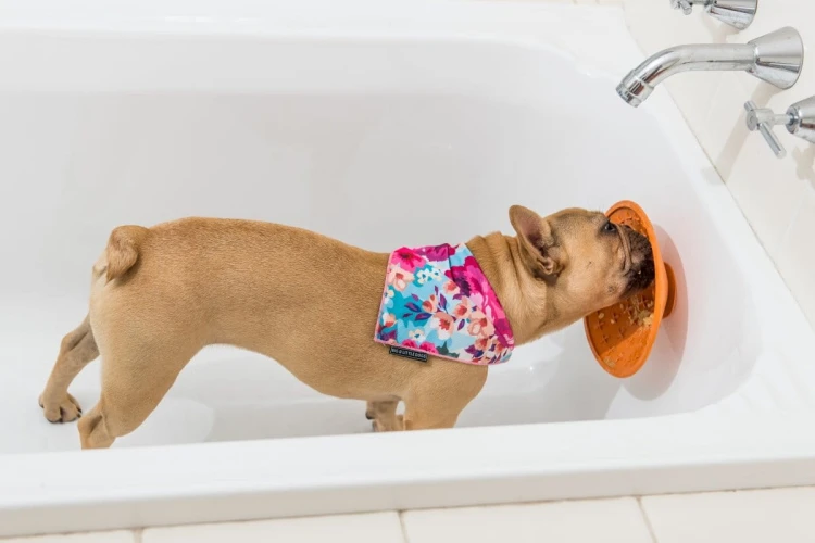 Mata LickiMat® Splash™ turkusowa