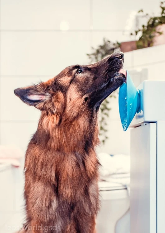 Mata LickiMat® Splash™ fioletowa