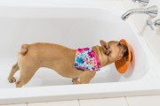Mata LickiMat® Splash™ fioletowa