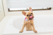 Mata LickiMat® Splash™ fioletowa